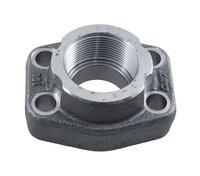 AFS - 3000 PSI BSP threaded SAE flange
