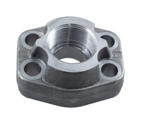 AFS - 6000 PSI BSP threaded SAE flange